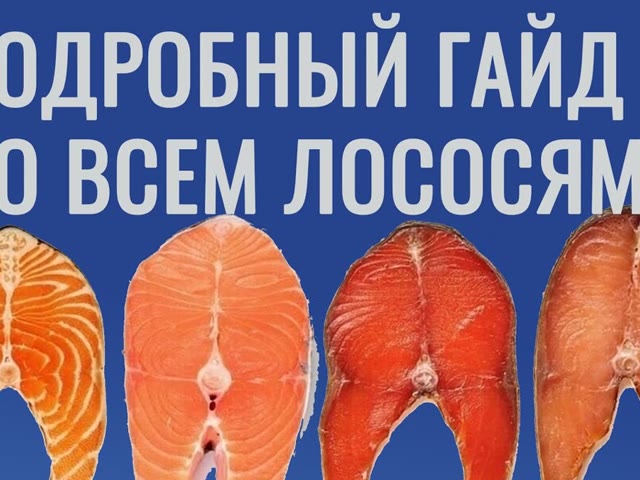Гайд по лососям: как выбирать, солить и готовить